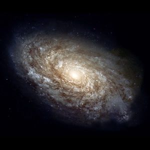 Meet your Posher, Brayden